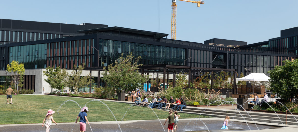 Public open space with play features, fountains, native  plants and trees